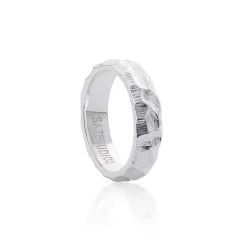 Hot Regolith Ring Accessories